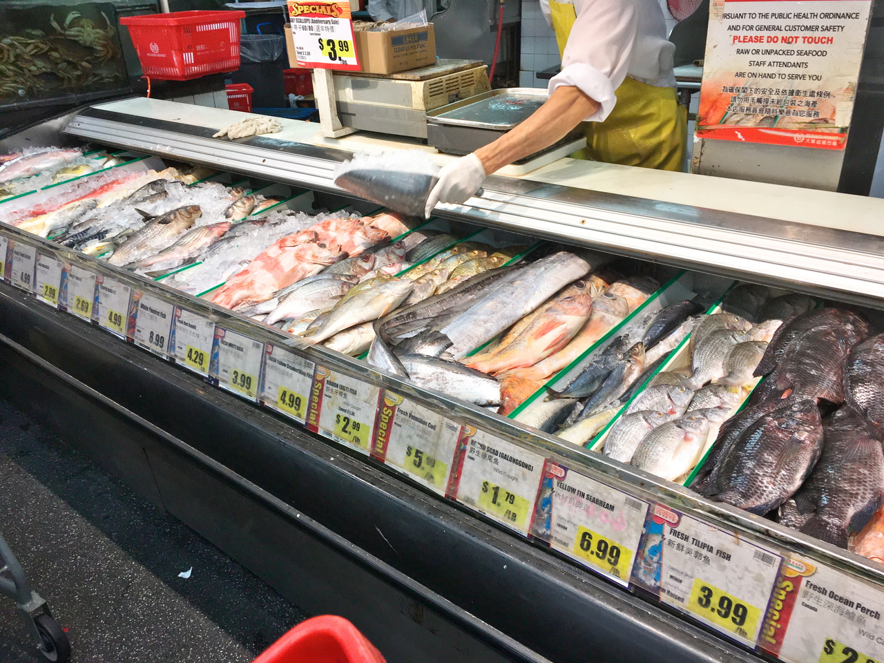 99 Ranch鮮魚コーナー左